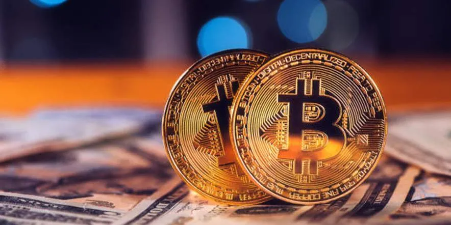 Stable Bitcap - Mejorado por la Creatividad PARA LOS USUARIOSEl Centro de Aprendizaje Stable Bitcap Reconocido